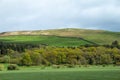 Scenic landscape view of lush rural agricultural land in central Scotland Royalty Free Stock Photo