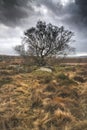 Scenic landscape view from Owler Tor in Peak District in Enlgand during Autumn Fall Royalty Free Stock Photo