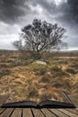 Scenic landscape view from Owler Tor in Peak District in Enlgand during Autumn Fall coming out of pages in magical story book Royalty Free Stock Photo