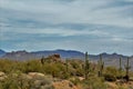 Bartlett Lake reservoir, Maricopa County, State of Arizona, United States scenic landscape view