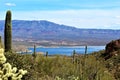 Theodore Roosevelt Lake, Gila County, Arizona