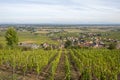 landscape with vineyard in the Alsace region with small village Royalty Free Stock Photo