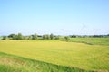 Scenic landscape in Wangerland, Friesland, Lower Saxony, Germany Royalty Free Stock Photo