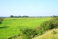 Scenic landscape in Wangerland, Friesland, Lower Saxony, Germany Royalty Free Stock Photo