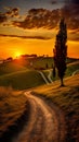 scenic landscape with a wavy path winding through a hillside adorned with trees, leading to a great sunset.