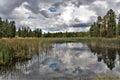 White Mountain Nature Center, Pinetop Lakeside, Arizona, United States Royalty Free Stock Photo