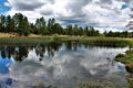 White Mountain Nature Center, Pinetop Lakeside, Arizona, United States Royalty Free Stock Photo