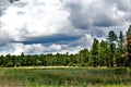 White Mountain Nature Center, Pinetop Lakeside, Arizona, United States Royalty Free Stock Photo