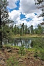 White Mountain Nature Center, Pinetop Lakeside, Arizona, United States Royalty Free Stock Photo