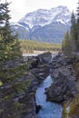 Scenic landscapes in Jasper National Park, Alberta, Canada Royalty Free Stock Photo