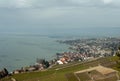 Lavaux vineyards and lake Geneva, Lausanne, Switzerland. Royalty Free Stock Photo