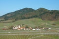 Scenic little village sourrounded by hills and vineyards in the Black forest, Germany