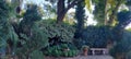 Scenic Lucious Gardens Shrubs Bushes Trees LandScape Nature Foliage Photography