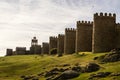 Scenic medieval city walls of Avila, Spain, UNESCO list Royalty Free Stock Photo