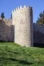 Scenic medieval city walls of Avila Royalty Free Stock Photo