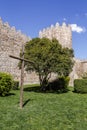 Scenic medieval city walls of Avila Royalty Free Stock Photo