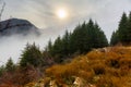 Scenic misty mountain landscape with fir forest