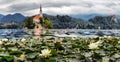 Scenic morning view of St. Martin`s Parish Church near Bled Lake. Beautiful autumn weather during sunrise. Royalty Free Stock Photo