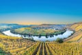 Scenic Mosel river loop in Trittenheim Royalty Free Stock Photo