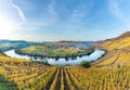 Scenic Mosel river loop in Trittenheim Royalty Free Stock Photo