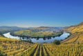 Scenic Mosel river loop in Trittenheim Royalty Free Stock Photo