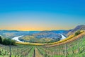 Scenic Mosel river loop in Trittenheim Royalty Free Stock Photo