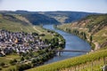 scenic Mosel river loop at Trittenheim, with green vineyards Royalty Free Stock Photo