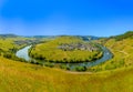 scenic Mosel river loop at Trittenheim, with green vineyards Royalty Free Stock Photo