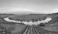 Scenic moselle river loop with village Trittenheim seen from Leiwen