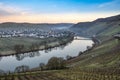 Scenic moselle river loop with village Trittenheim seen from Leiwen