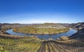 Scenic moselle river loop with village Trittenheim seen from Leiwen Royalty Free Stock Photo