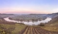 Scenic moselle river loop with village Trittenheim seen from Leiwen