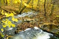 Scenic mountain river in sunny fall forest. Autumn trees with yellow foliage in a woodland. Idyllic hiking landscape, beautiful Royalty Free Stock Photo