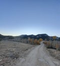 Scenic  Mountain road autumn in the national forest Wyoming Royalty Free Stock Photo