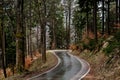 Scenic mountain winding road after rain through autumn forest. Empty asphalt road with forest hills