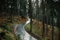 Scenic mountain winding road after rain through forest. Empty wet asphalt road with forest hills Royalty Free Stock Photo