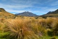 Scenic mountains in Ashburton Lakes region in New Zealand