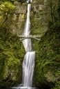 Scenic Multnomah Falls in Oregon