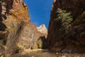 Rugged Zion National Park Narrows Landscape in Fall Royalty Free Stock Photo