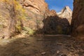 Scenic Zion National Park Narrows in Autumn Royalty Free Stock Photo