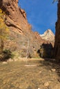 Zion National Park Narrows in Autumn Royalty Free Stock Photo