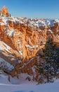 Winter Scenic at Natural Arch Bryce Canyon Utah Royalty Free Stock Photo