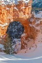 Natural Bridge Bryce Canyon Winter Landscape Royalty Free Stock Photo