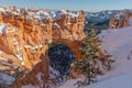 Natural Bridge Landscape Bryce Canyon Utah in Winter Royalty Free Stock Photo