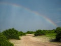 Scenic natural sand route through green savanna plain with soft beautiful rainbow on blue sky copyspace background, Chobe
