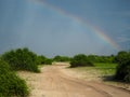 Scenic natural sand route through green savanna plain with soft beautiful rainbow after rain on blue sky copyspace background