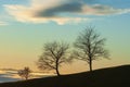 Scenic nature autumn landscape with black silhouettes of three tree on a cloudy day during sunset