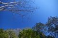 Scenic of nature at blue lagoon, Vang Vieng, Laos Royalty Free Stock Photo