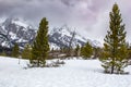 Scenic nature landscape of dual pines trees in front of mountain peaks in Grand Teton National Park.