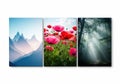 Scenic nature triptych Royalty Free Stock Photo
